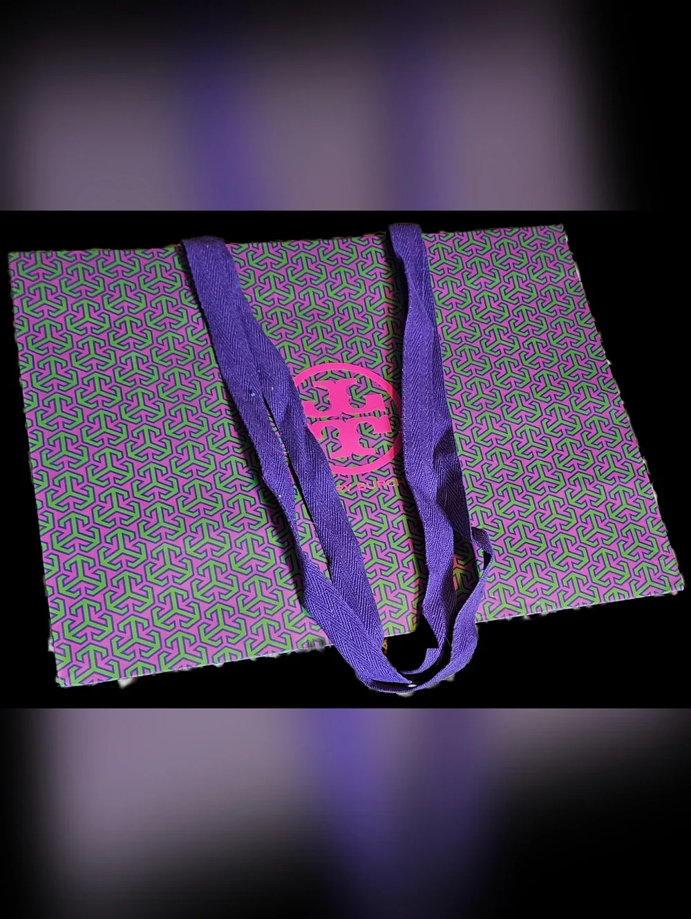 RARE Tory Burch XL Shopping Gift Bag Purple Green Pink Boutique Packaging Tote